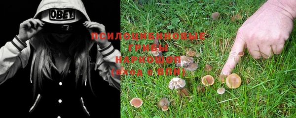 не бодяженный Абдулино