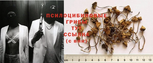 PSILOCYBIN Алексин