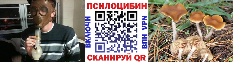 Галлюциногенные грибы Psilocybe  продажа наркотиков  Духовщина 